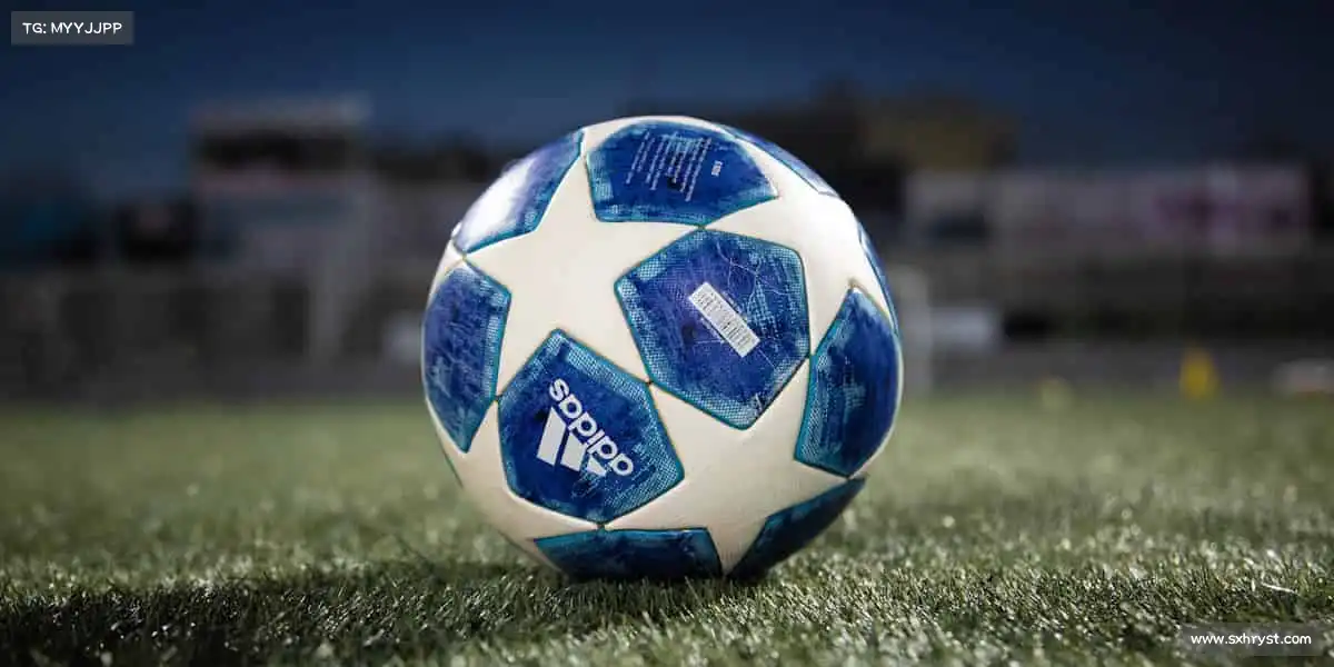 为什么选择我们